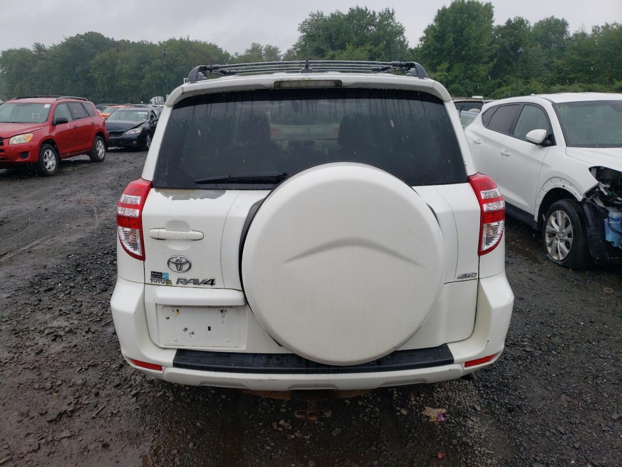 2010 Toyota Rav4 VIN: JTMBF4DV3A5017299 Lot: 66760934