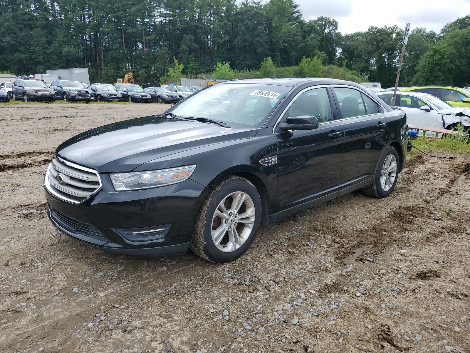 2013 Ford Taurus Sel vin: 1FAHP2H8XDG153637