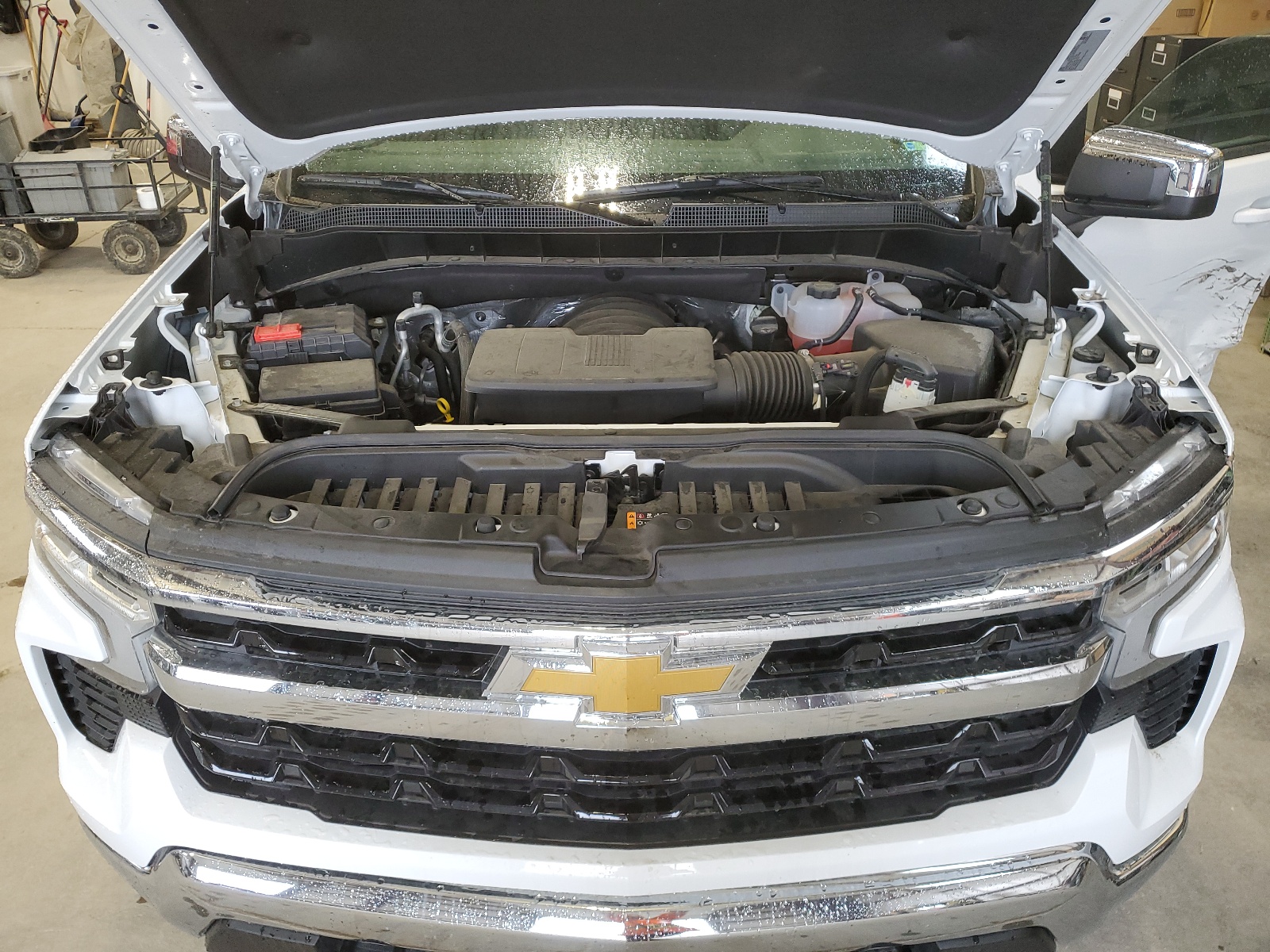 1GCUDDEDXRZ206377 2024 Chevrolet Silverado K1500 Lt