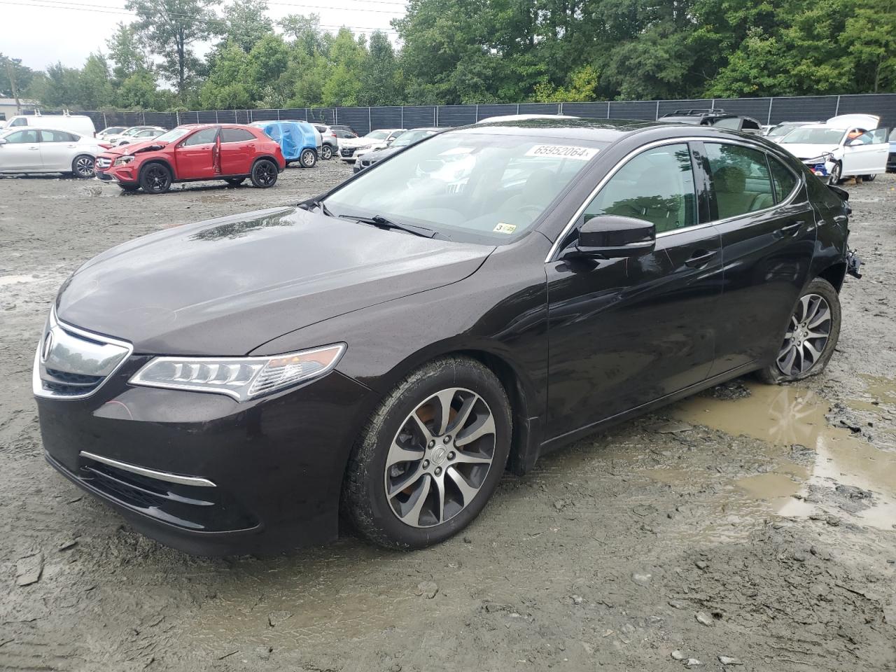 2016 Acura Tlx VIN: 19UUB1F3XGA010303 Lot: 65952064