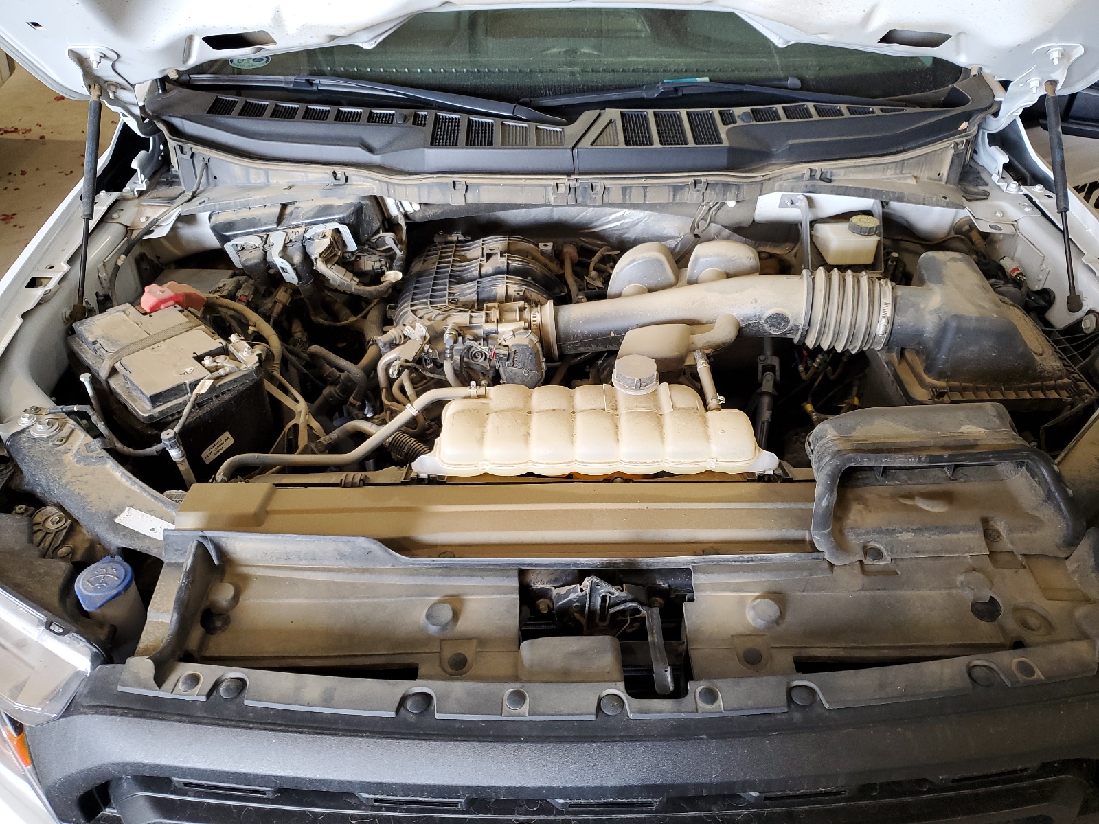 1FTMF1EB1NKD10427 2022 Ford F150