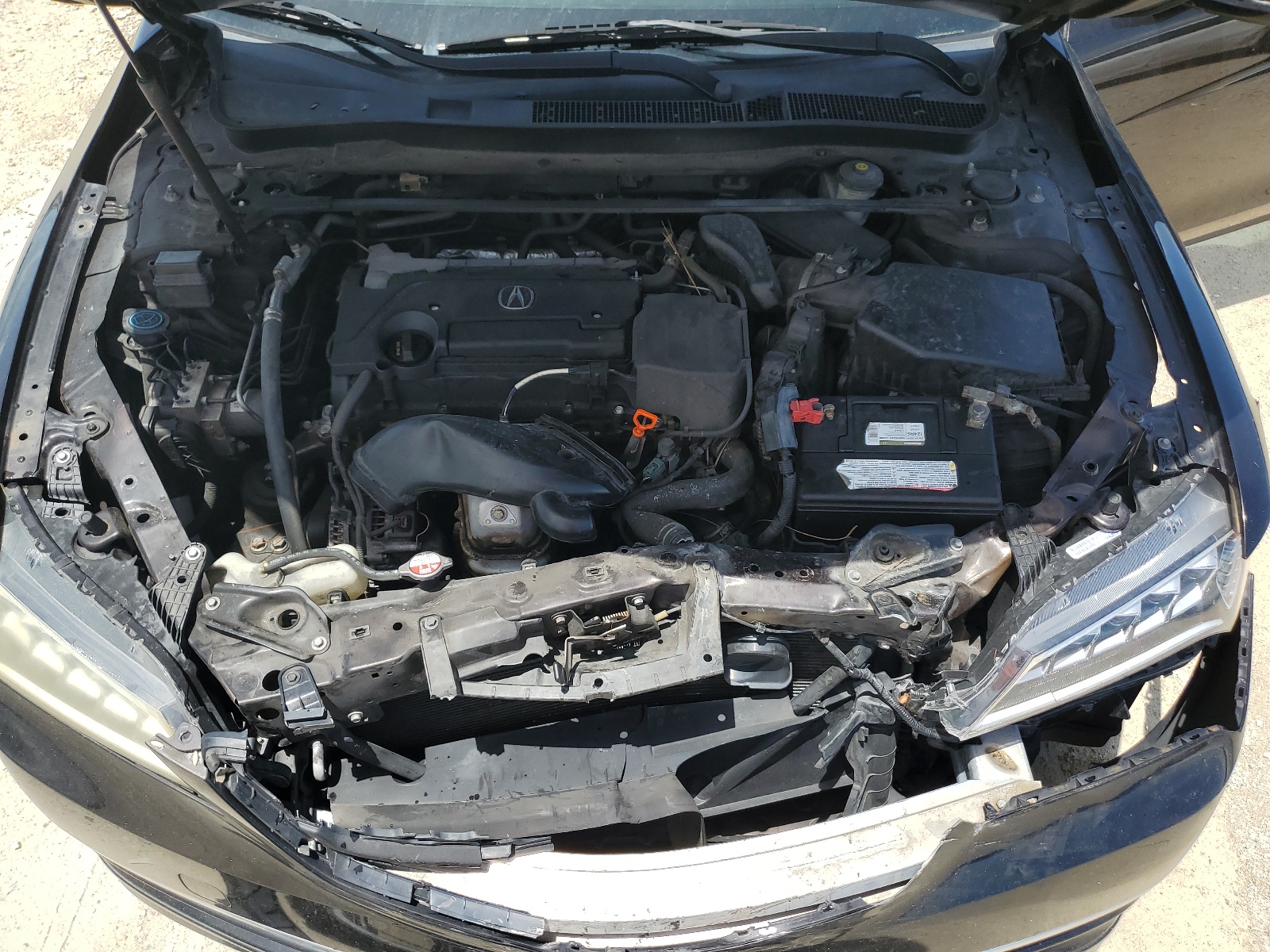 19UUB1F30FA001429 2015 Acura Tlx