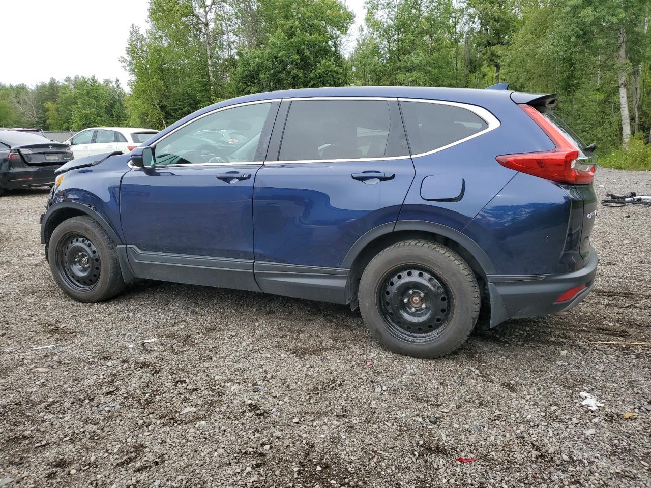 2019 Honda Cr-V Ex VIN: 2HKRW2H53KH144584 Lot: 66379354