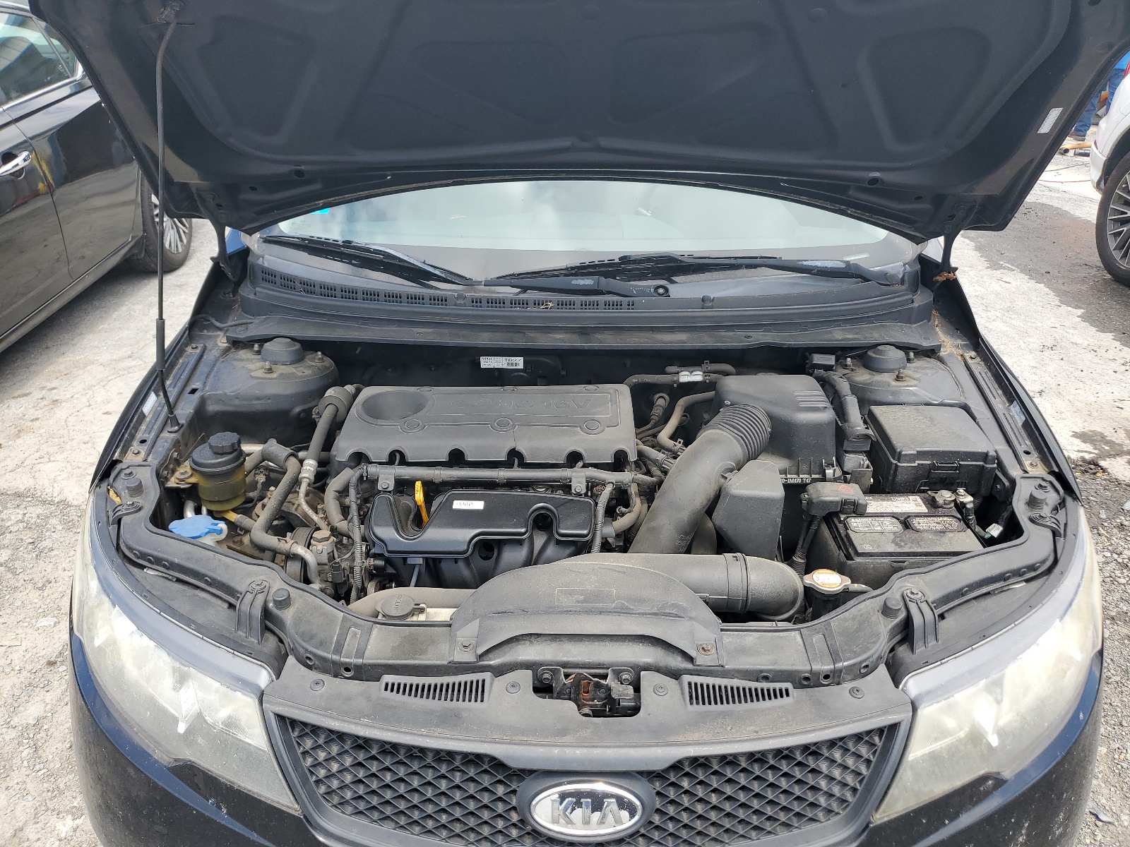 KNAFT4A23A5182464 2010 Kia Forte Lx