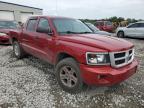 2010 Dodge Dakota Sxt for Sale in Cahokia Heights, IL - Side