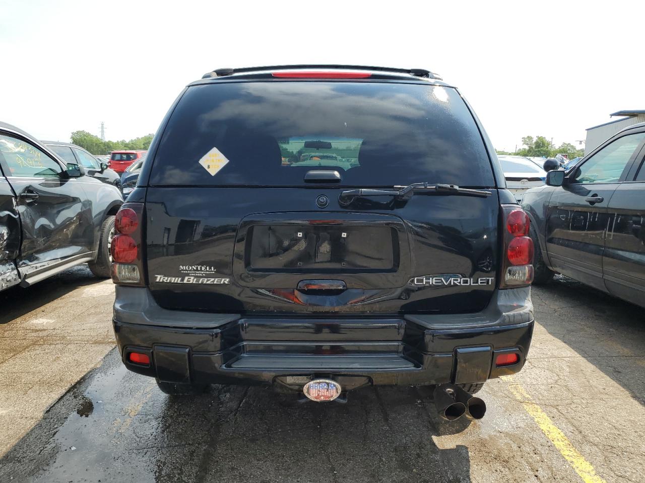 2003 Chevrolet Trailblazer VIN: 1GNDT13S132192802 Lot: 65982734