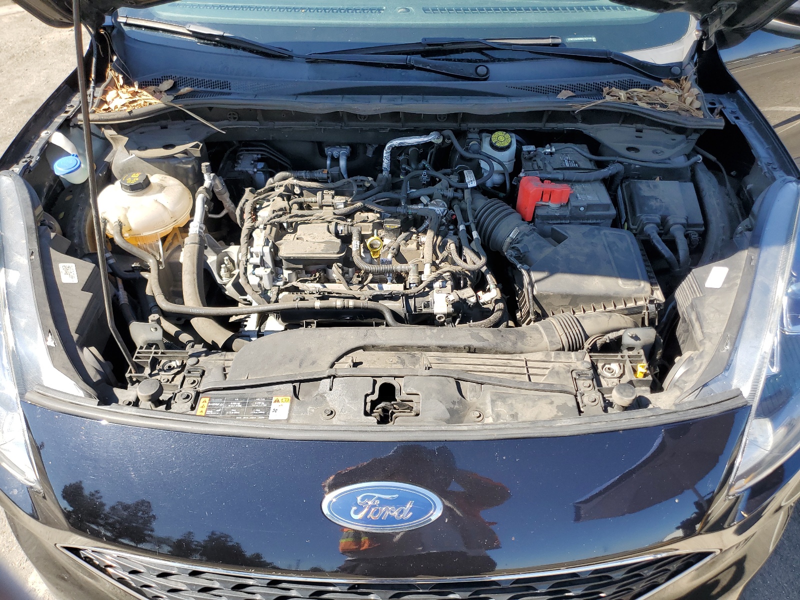 1FMCU9H65MUA65189 2021 Ford Escape Sel