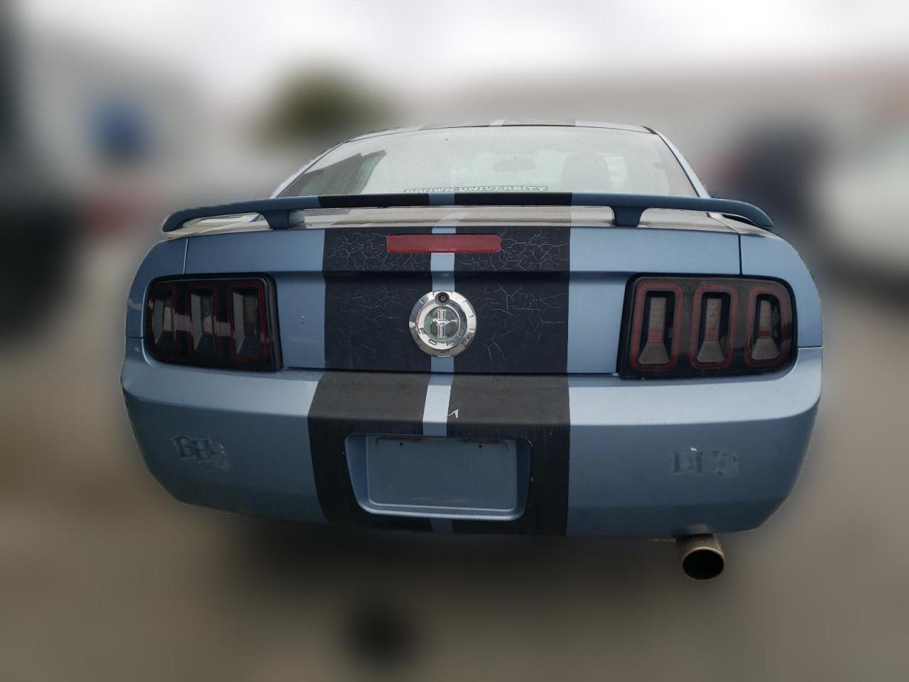 2006 Ford Mustang VIN: 1ZVFT80N065149755 Lot: 66131364