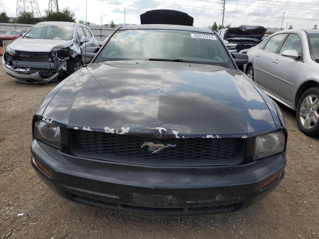 2007 Ford Mustang VIN: 1ZVFT80N075342442 Lot: 65919724