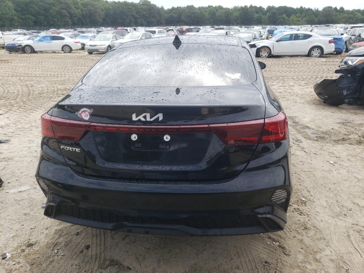 2023 Kia Forte Lx VIN: 3KPF24AD9PE605312 Lot: 66487384