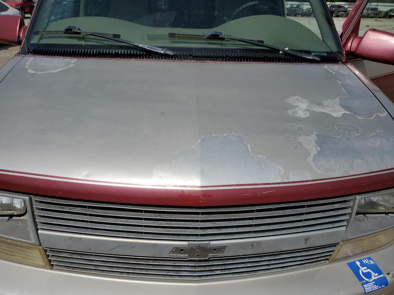 1997 Chevrolet Astro VIN: 1GNDM19W7VB131366 Lot: 62555834