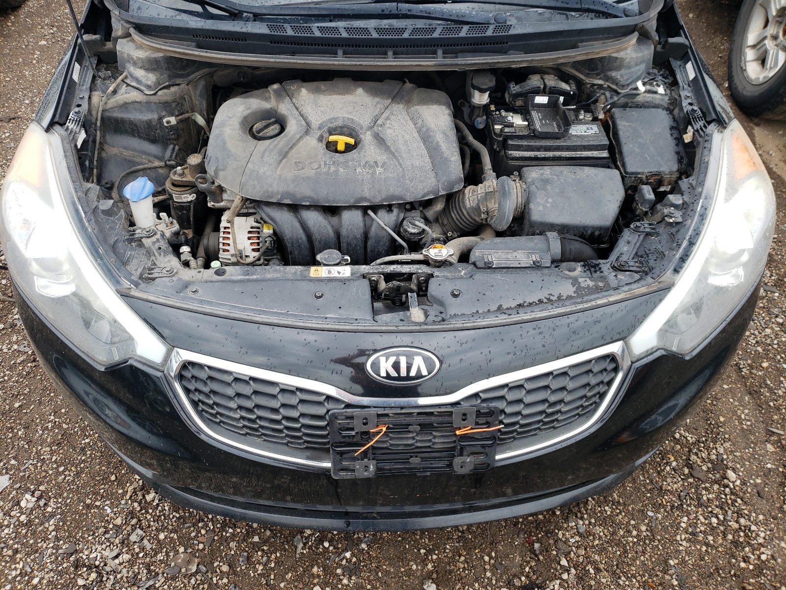 KNAFX4A61G5538748 2016 Kia Forte Lx KNAFX4A61G5538748 2016 Kia Forte Lx