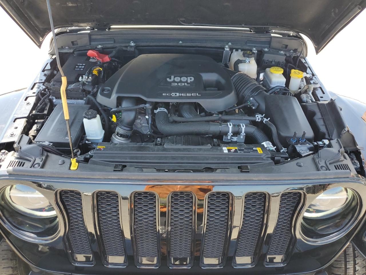 2021 Jeep Wrangler Unlimited Sahara VIN: 1C4HJXEM7MW729846 Lot: 68054424