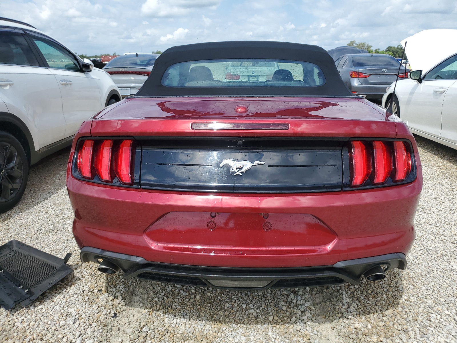 1FATP8UHXK5146523 2019 Ford Mustang