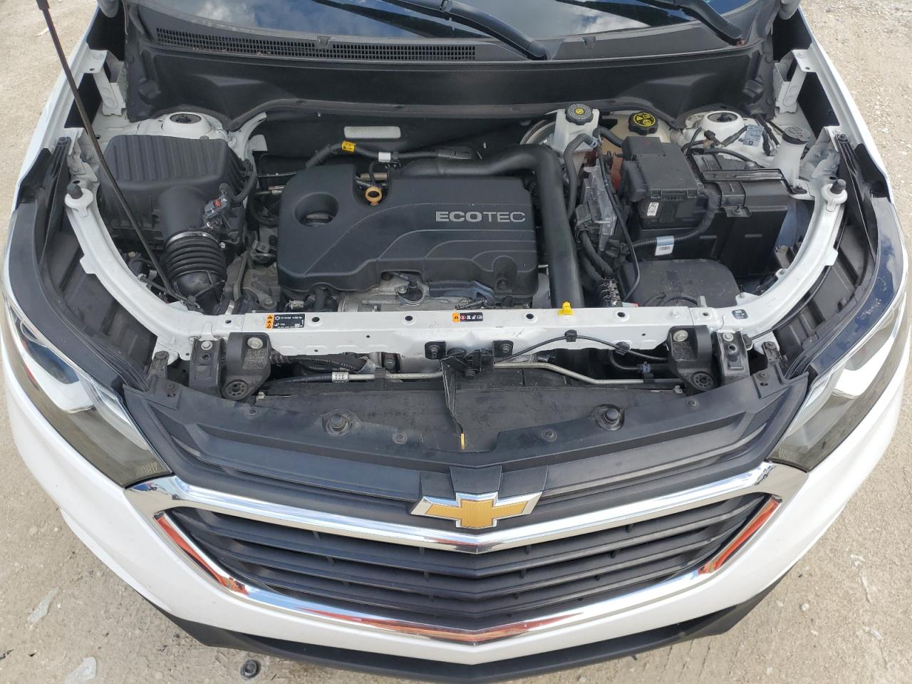 2020 Chevrolet Equinox Ls VIN: 3GNAXHEV3LS544919 Lot: 67900094