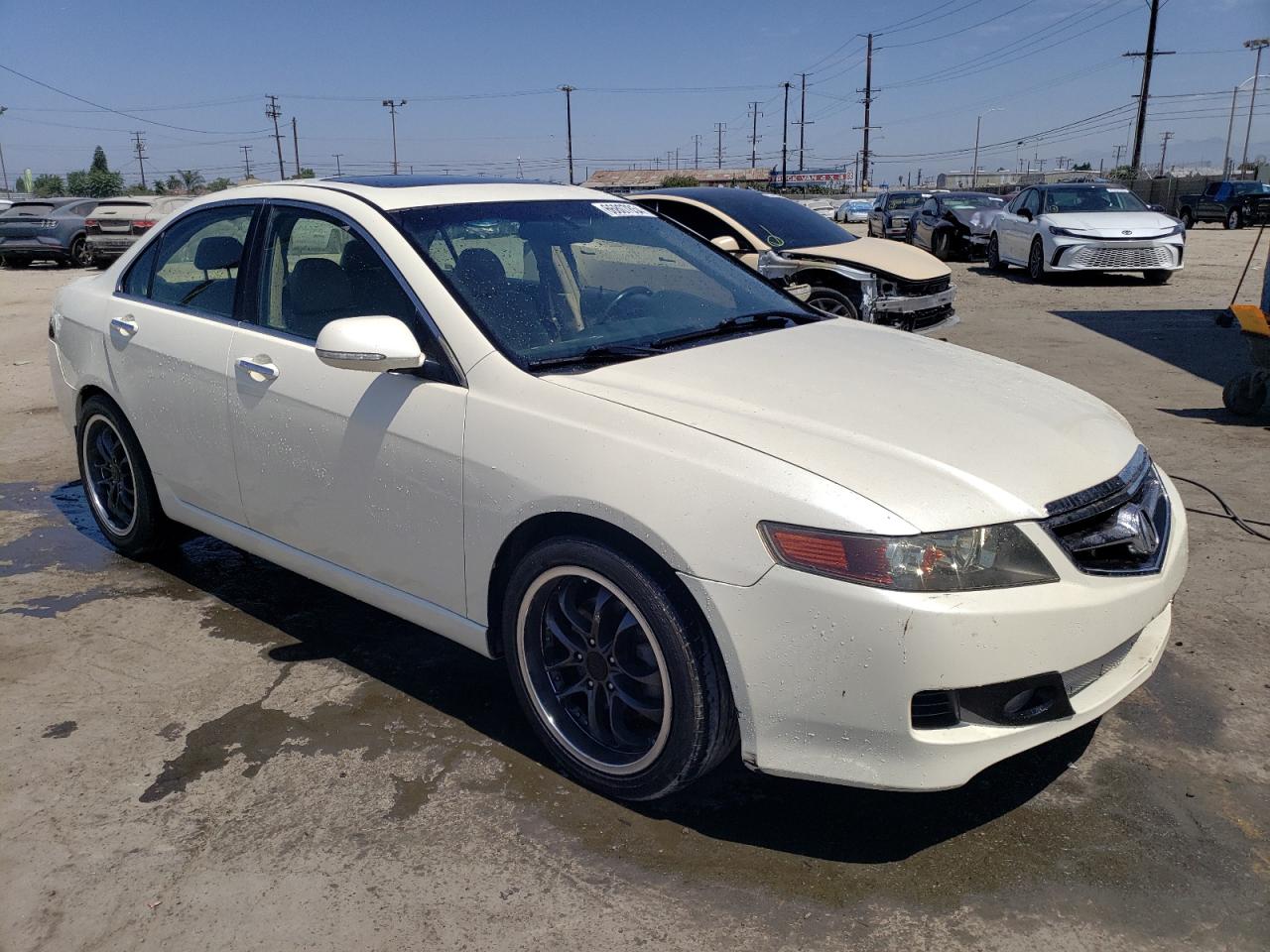 2005 Acura Tsx VIN: JH4CL96985C028437 Lot: 66807854