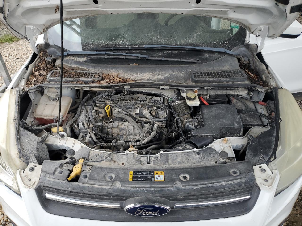 2013 Ford Escape - Image 12