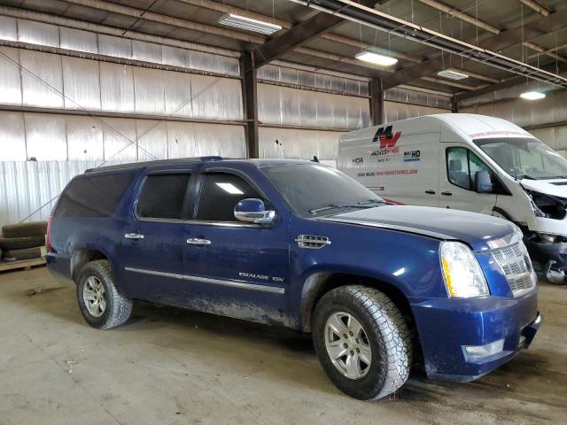  CADILLAC ESCALADE 2012 Синий