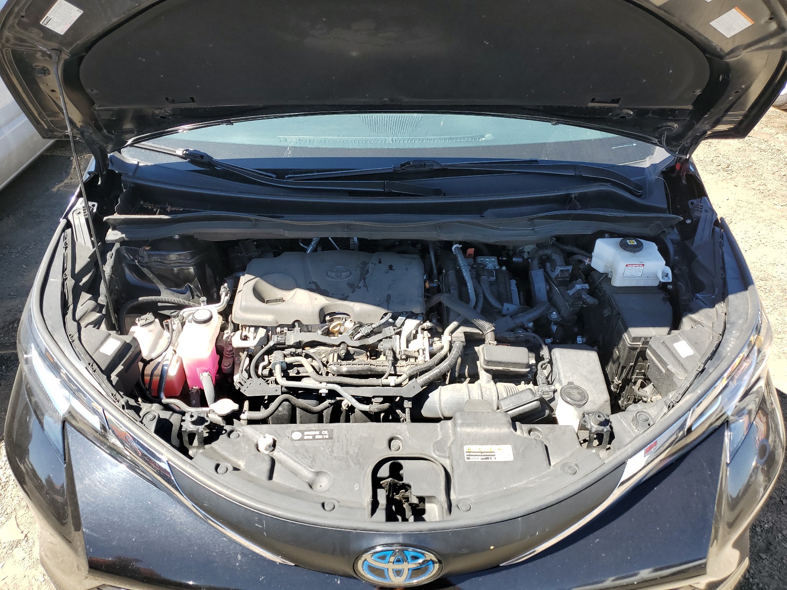 5TDKRKEC4MS014161 2021 Toyota Sienna Le