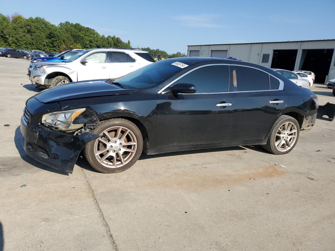 2009 Nissan Maxima S VIN: 1N4AA51E49C834296 Lot: 68636194