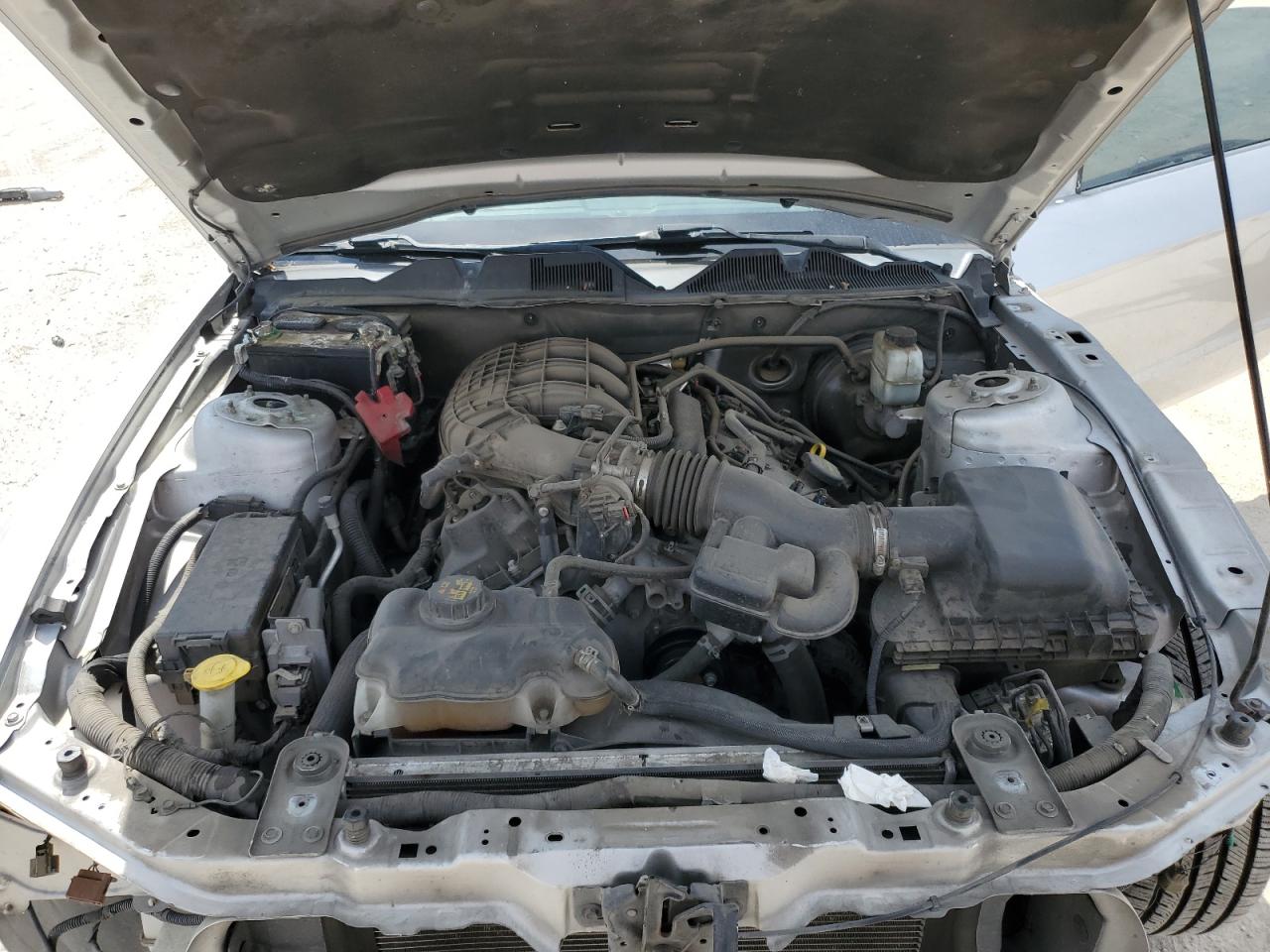 2012 Ford Mustang VIN: 1ZVBP8AM6C5263828 Lot: 69337344