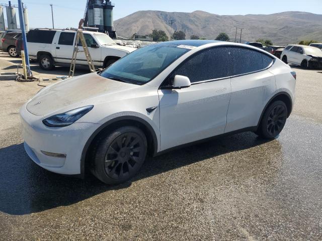 2023 TESLA MODEL Y, VIN: 7SAYGDEE9PA075124