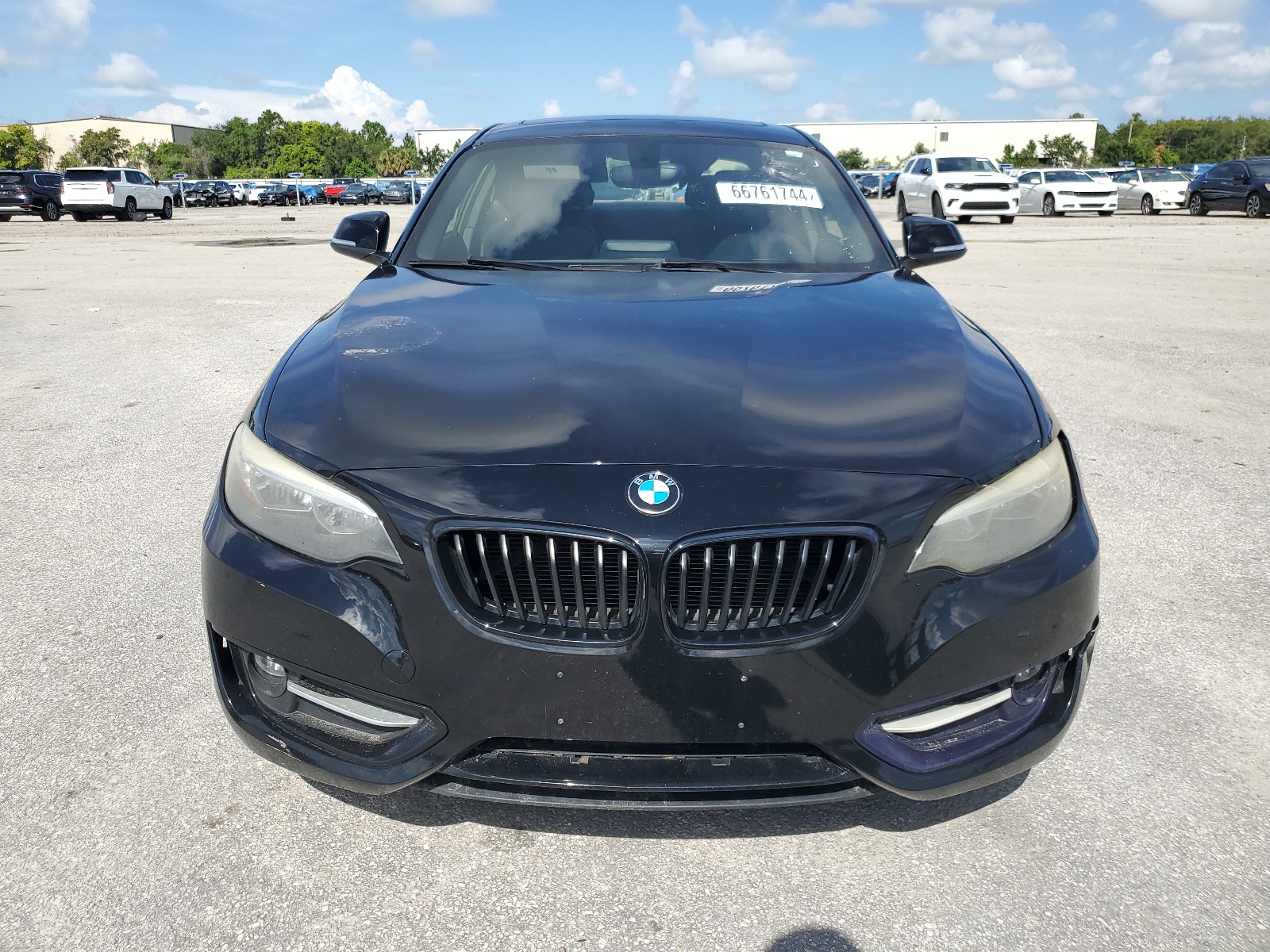 2016 BMW 228 I Sulev vin: WBA1F9C58GV545081