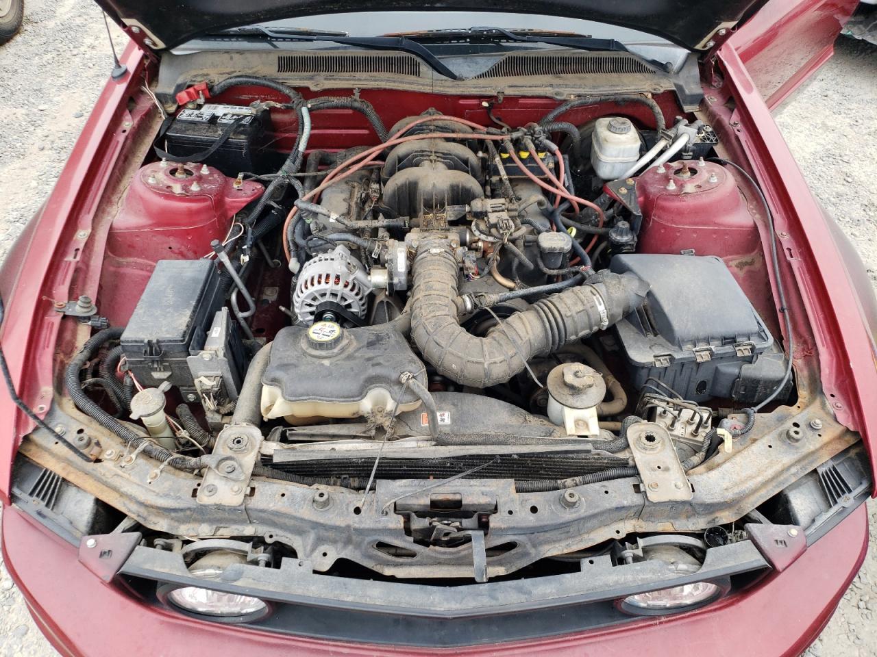 1ZVFT84NX65139552 2006 Ford Mustang