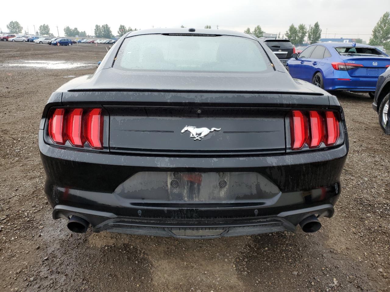 2019 Ford Mustang VIN: 1FA6P8TH0K5176094 Lot: 65762364