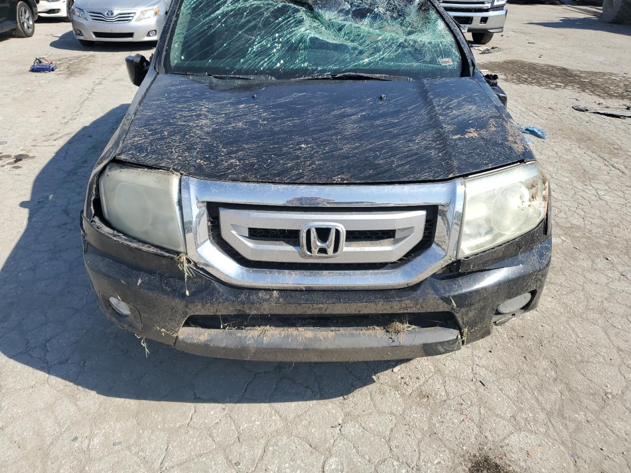 2009 Honda Pilot Exl VIN: 5FNYF48579B053897 Lot: 68875274