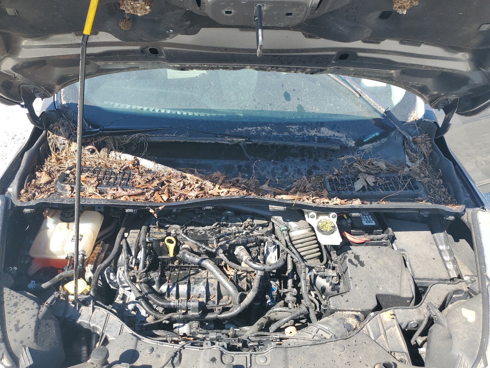 1FMCU0GX1DUC19371 2013 Ford Escape Se