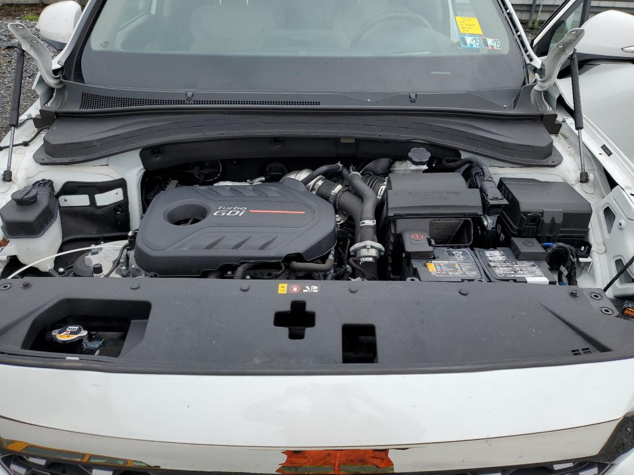 2020 Hyundai Santa Fe Limited VIN: 5NMS5CAA0LH290585 Lot: 66524234