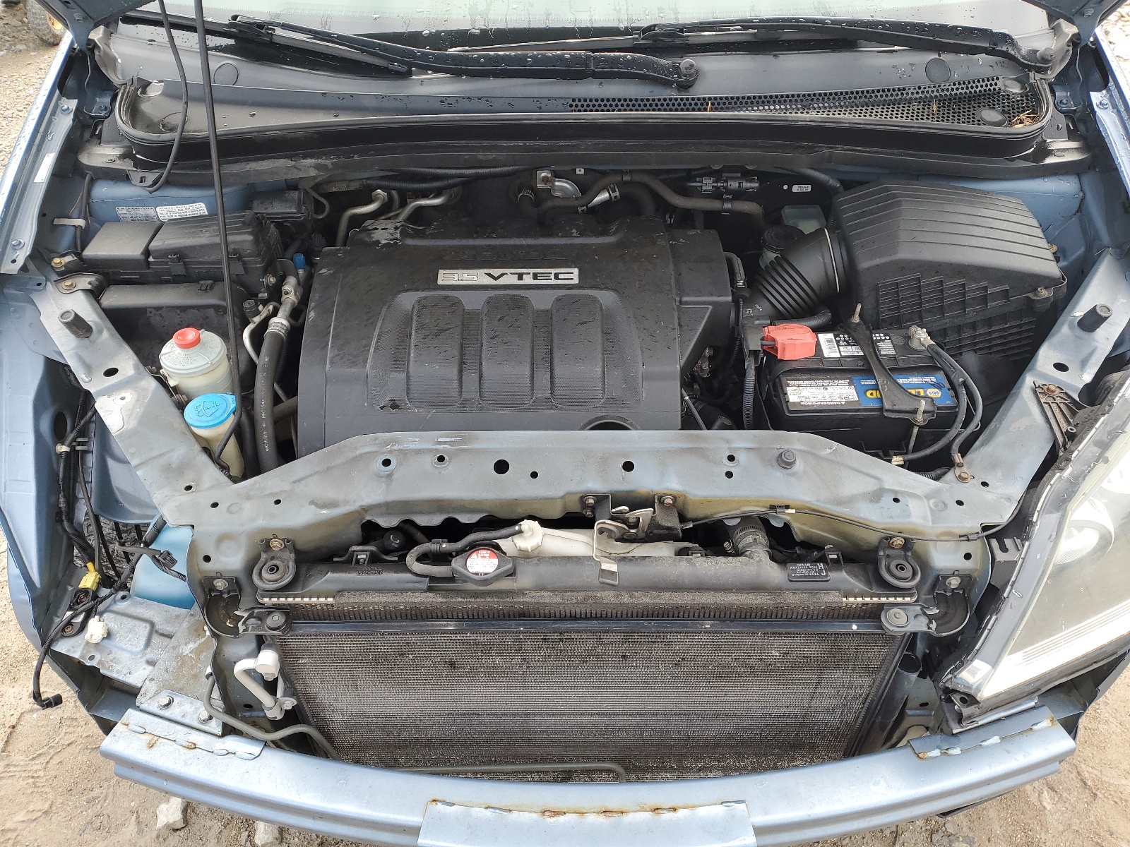 5FNRL38425B113495 2005 Honda Odyssey Ex