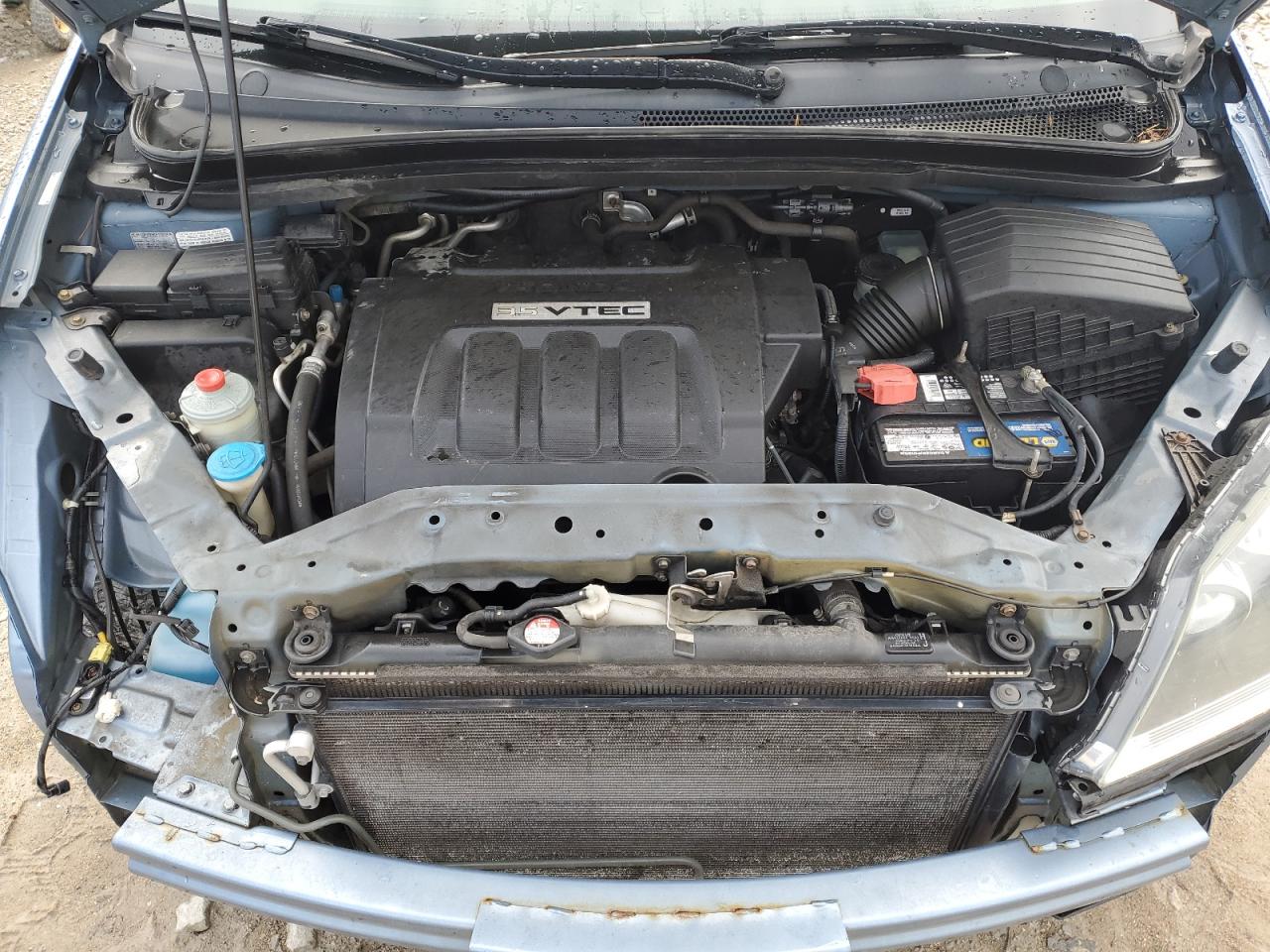 2005 Honda Odyssey Ex VIN: 5FNRL38425B113495 Lot: 65864884