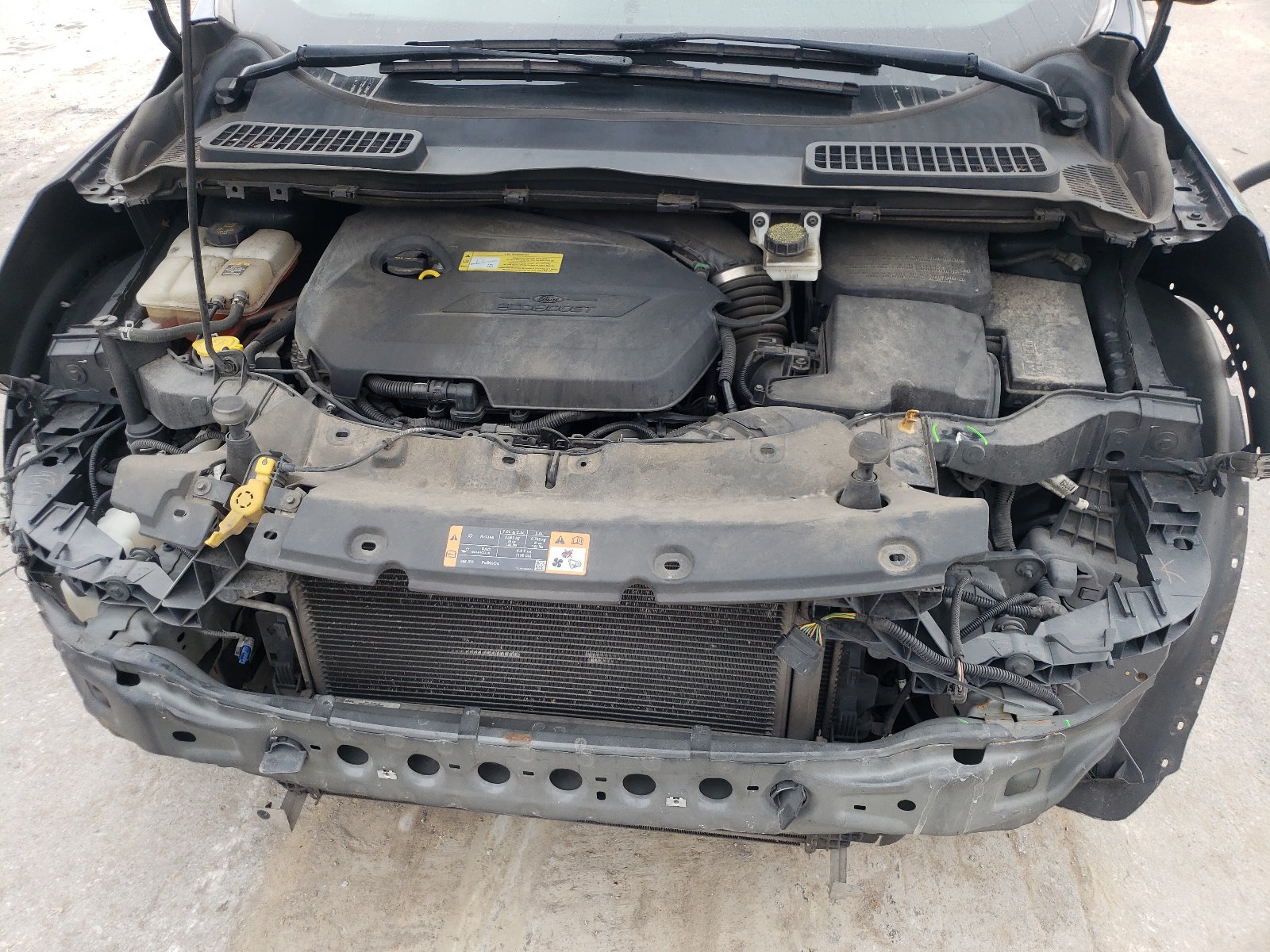 1FMCU0GX5DUD09204 2013 Ford Escape Se