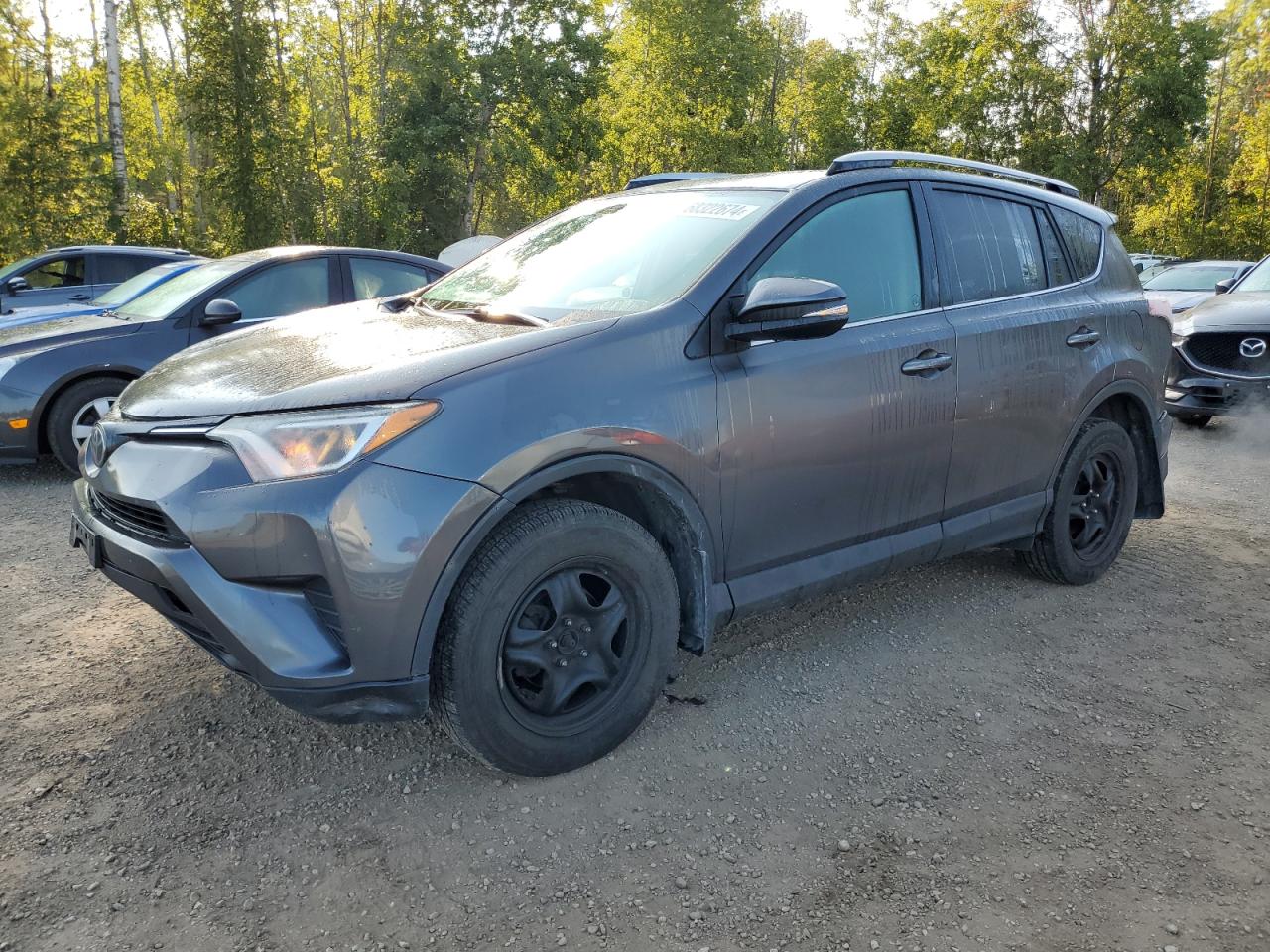 2017 Toyota Rav4 Le VIN: 2T3ZFREV9HW340883 Lot: 68322674