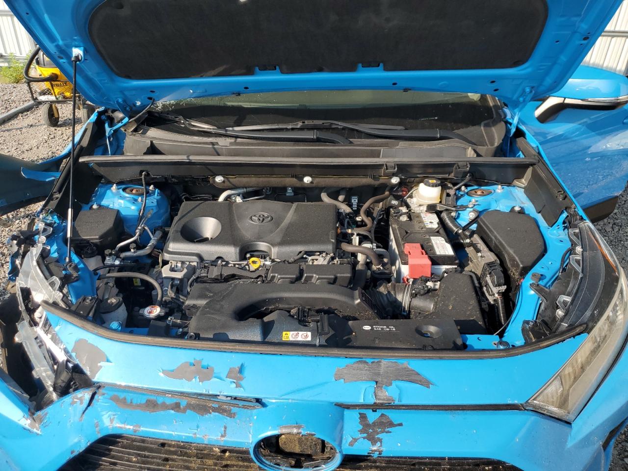 2020 Toyota Rav4 Xle VIN: JTMW1RFV3LJ019090 Lot: 67062264