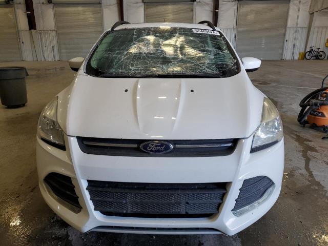  FORD ESCAPE 2014 White