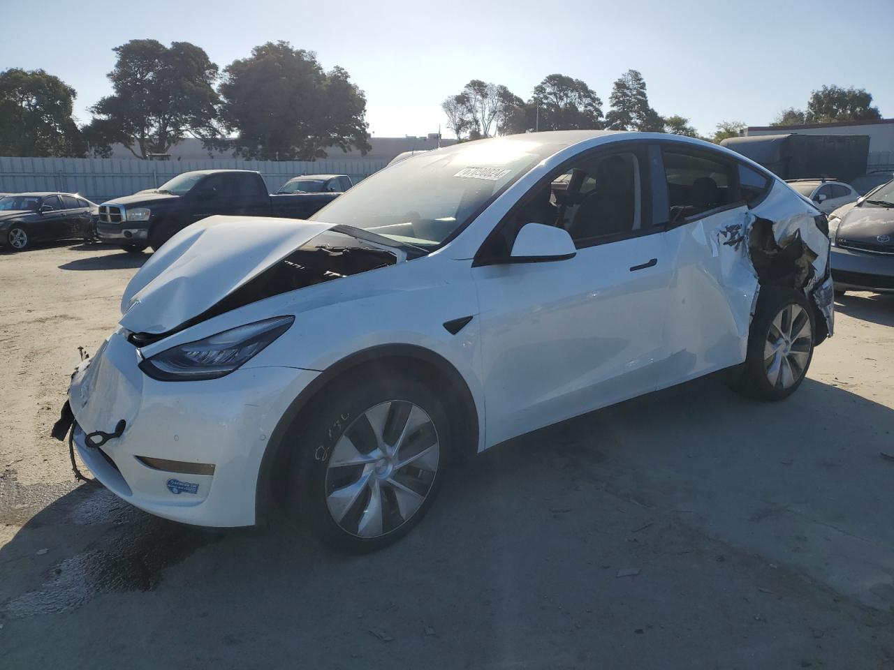 2021 Tesla Model Y VIN: 5YJYGDEE2MF086669 Lot: 67090824