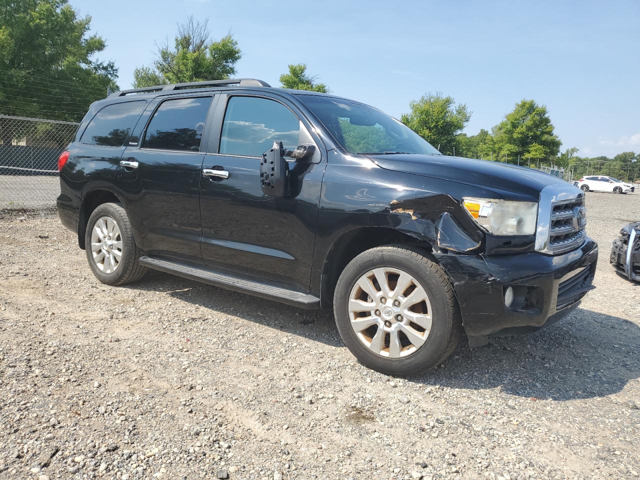 2010 Toyota Sequoia Platinum VIN: 5TDDW5G19AS024212 Lot: 66333424