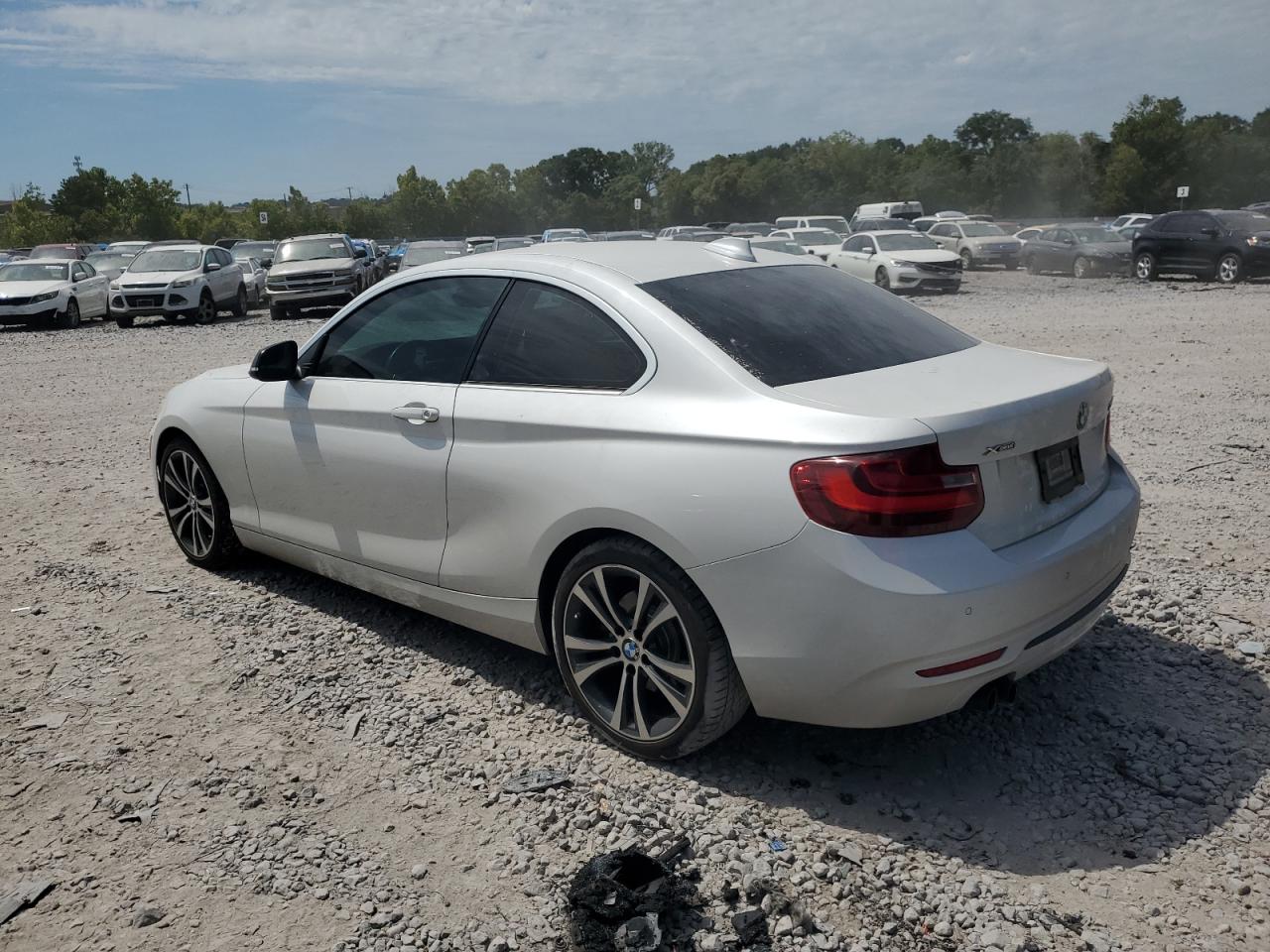 2015 BMW 228 Xi VIN: WBA1F7C52FVX95581 Lot: 67285564