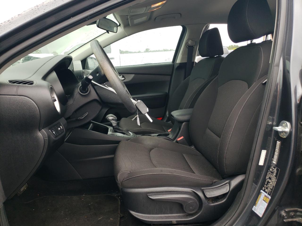 2019 Kia Forte Fe VIN: 3KPF24ADXKE086229 Lot: 66599974