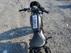 2023 HONDA CMX300  for sale at Copart NC - GASTONIA