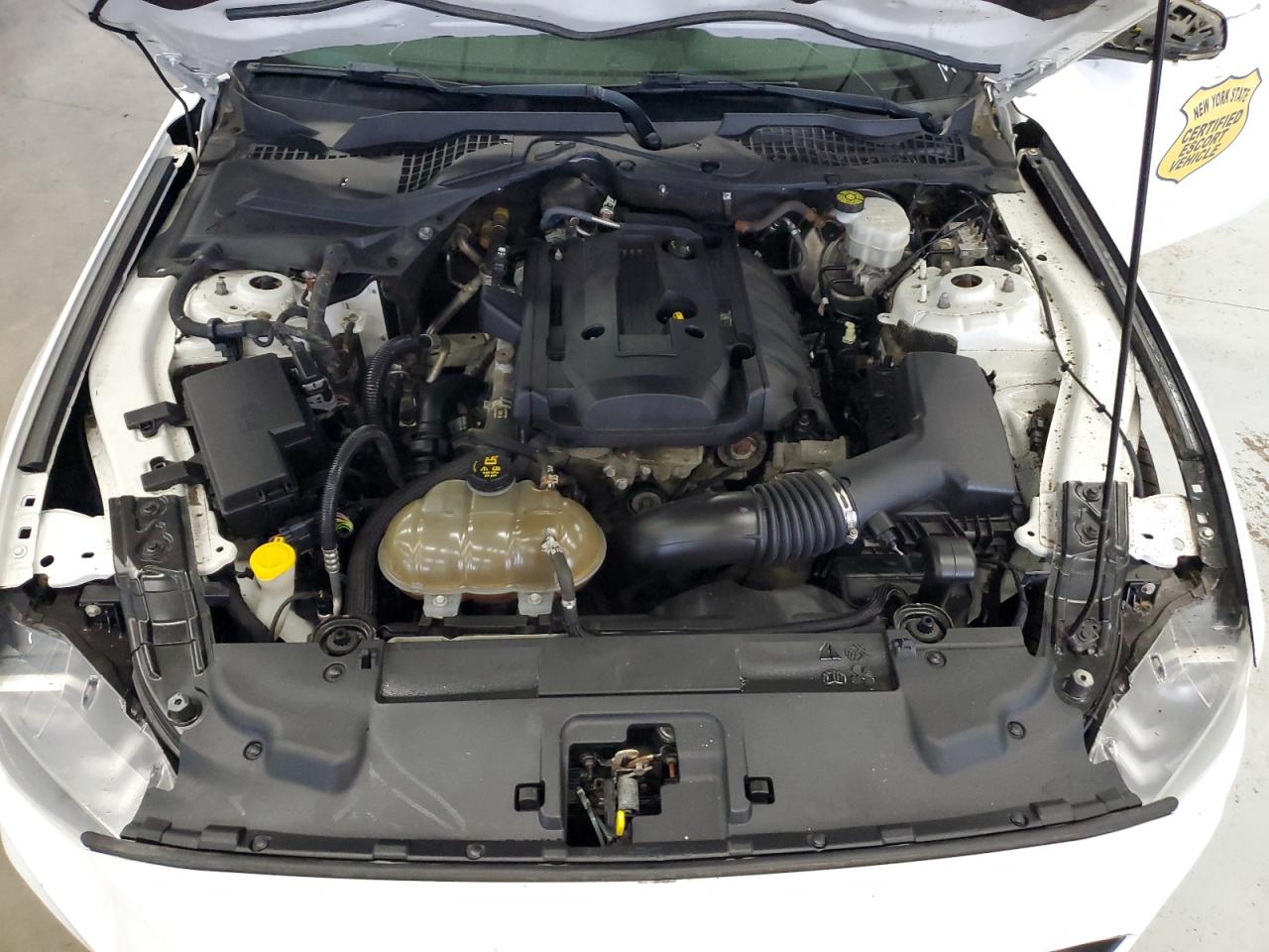 2019 Ford Mustang VIN: 1FA6P8TH4K5112530 Lot: 66287834