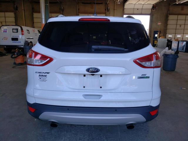  FORD ESCAPE 2014 Білий