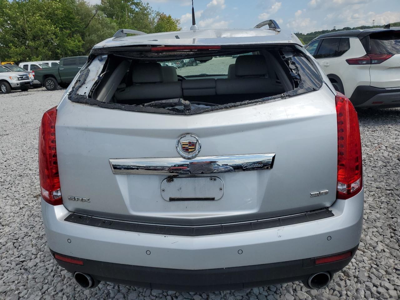2013 Cadillac Srx Luxury Collection VIN: 3GYFNCE36DS647785 Lot: 65654394