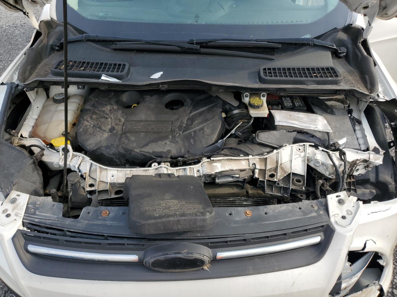 2013 Ford Escape Se VIN: 1FMCU0G93DUA08142 Lot: 65550884