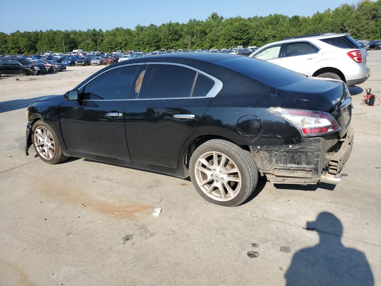 2009 Nissan Maxima S VIN: 1N4AA51E49C834296 Lot: 68636194