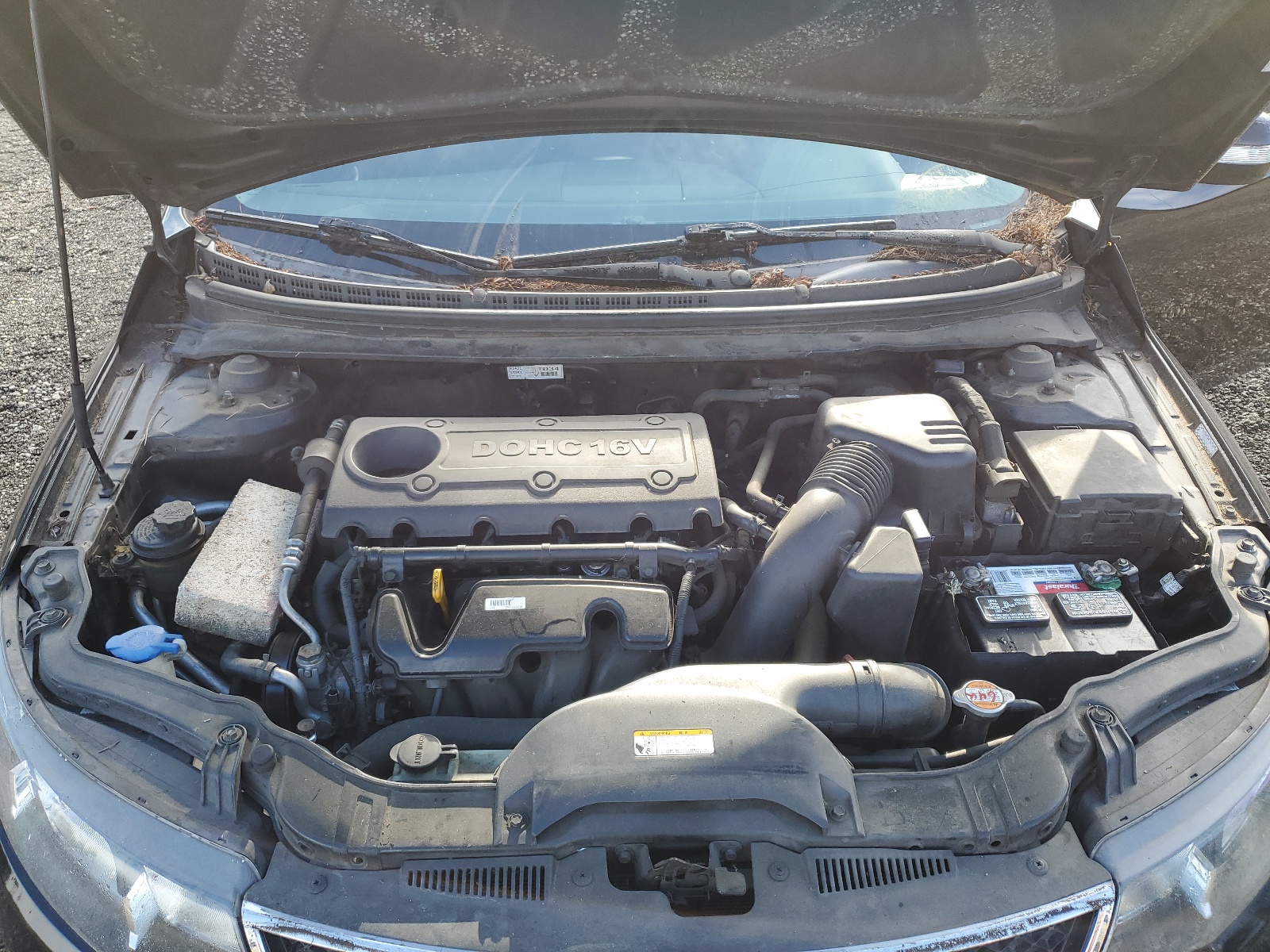 KNAFU4A24A5166075 2010 Kia Forte Ex