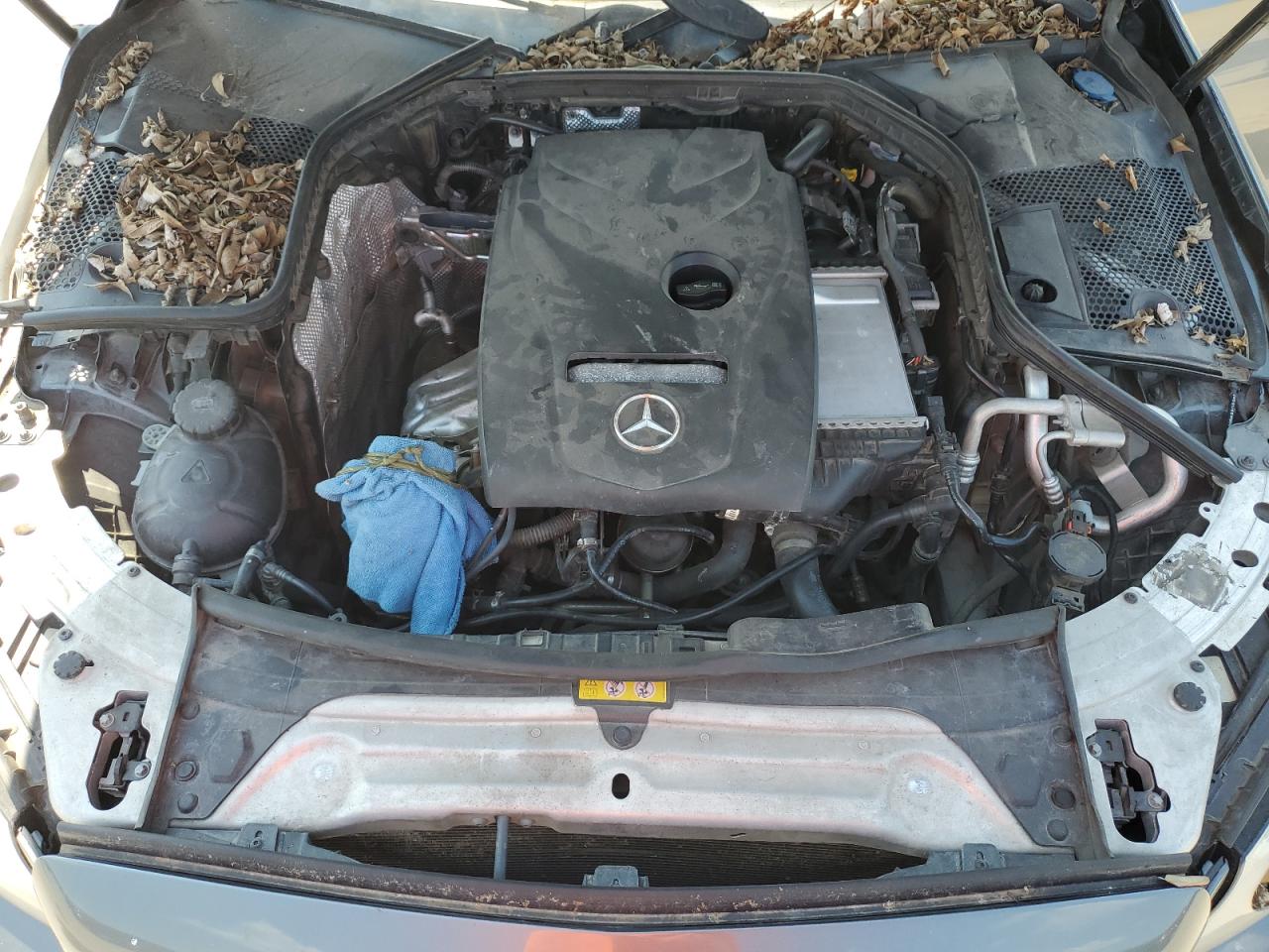 2017 Mercedes-Benz C 300 VIN: 55SWF4JB6HU213692 Lot: 66166724